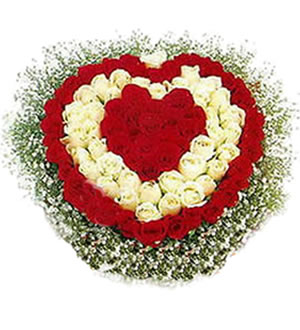 珍爱 （已下架）-红色玫瑰66枝，白色玫瑰33枝