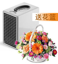 送礼不如送健康（送花篮） - 适用面积10-40(㎡)，方型 （预防甲型流感/除尘/灭菌/除甲醛）