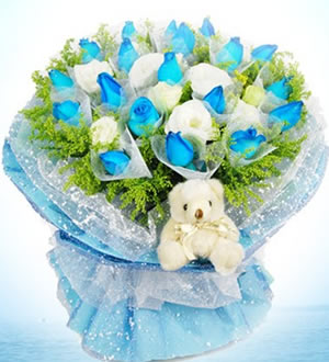 海洋之恋 （已下架）-19枝昆明蓝色妖姬+9枝白玫瑰