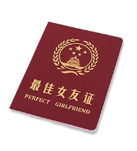 最佳女友证 - 情人节最具创意礼物 PERFECT GIRLFRIEND