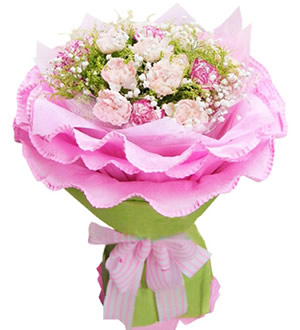 暖暖的祝福 （已下架）-12枝粉色康乃馨，8枝花边康乃馨