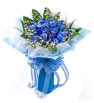 精灵的祝福 （已下架）-蓝玫瑰11朵，满天星绿叶搭配