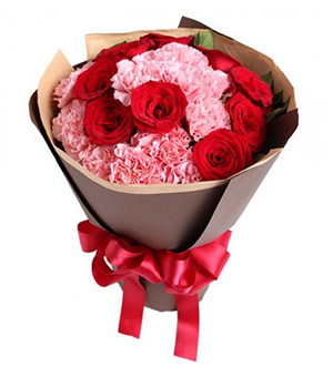 温馨祝福 （已下架）-16枝粉色康乃馨+9枝红玫瑰
