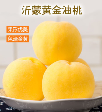 祁蒙黄金油桃