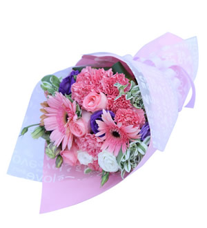 粉色童话 （已下架）-11枝粉色康乃馨，粉玫瑰3枝，粉色扶郎3枝