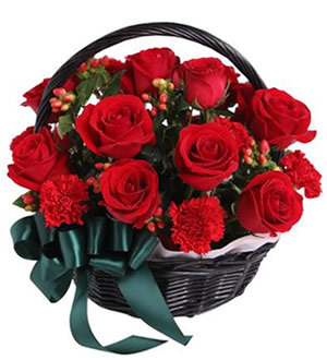 思念-红玫瑰16枝，红色康乃馨12枝