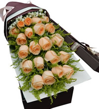 温馨的祝福 - 21枝香槟玫瑰花盒