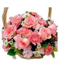 温暖的母爱 - 16枝粉玫瑰，12枝粉色康乃馨，8枝多头粉色康乃馨