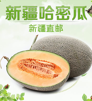 新疆直供 哈密瓜