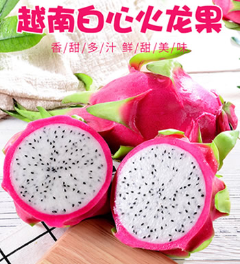 越南火龙果