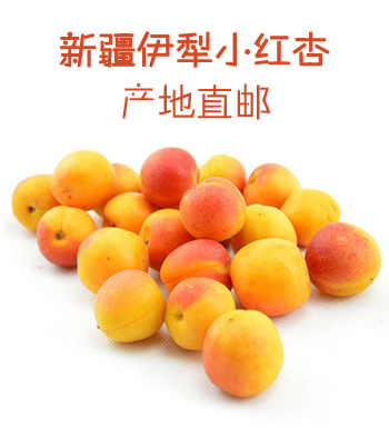 新疆伊犁小红杏（预售 一周后发货）