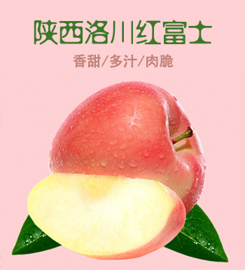 陕西洛川红富士 精品大果