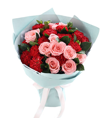 温馨思念 （已下架）-红色康乃馨19枝，戴安娜粉玫瑰11枝