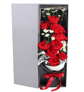 浪漫告白 （已下架）-红玫瑰11枝、白色小雏菊4枝