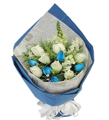 蓝色魅力 （已下架）-5枝蓝色妖姬，7枝白色玫瑰