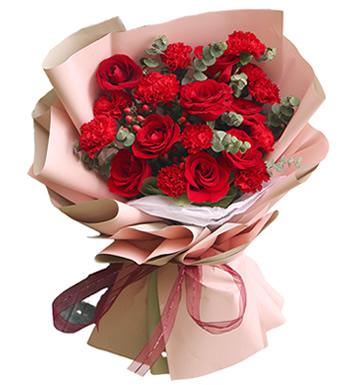 思念-11枝红色康乃馨+9枝红玫瑰