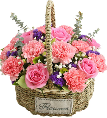 幸福的花蕾-粉色康乃馨 苏醒玫瑰