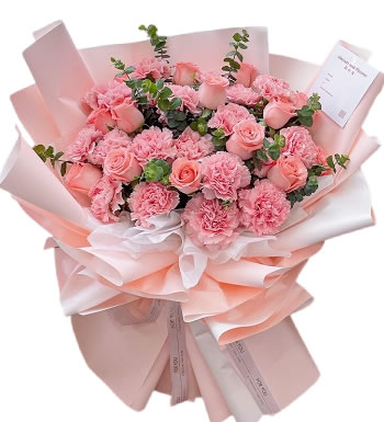 母亲节快乐-粉色康乃馨 粉色玫瑰