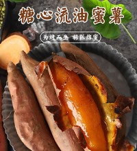 山东烟薯 25号蜜薯 - 软糯香甜 营养丰富