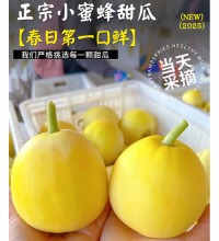 小蜂蜜甜瓜 - 脆嫩多汁 香气浓郁